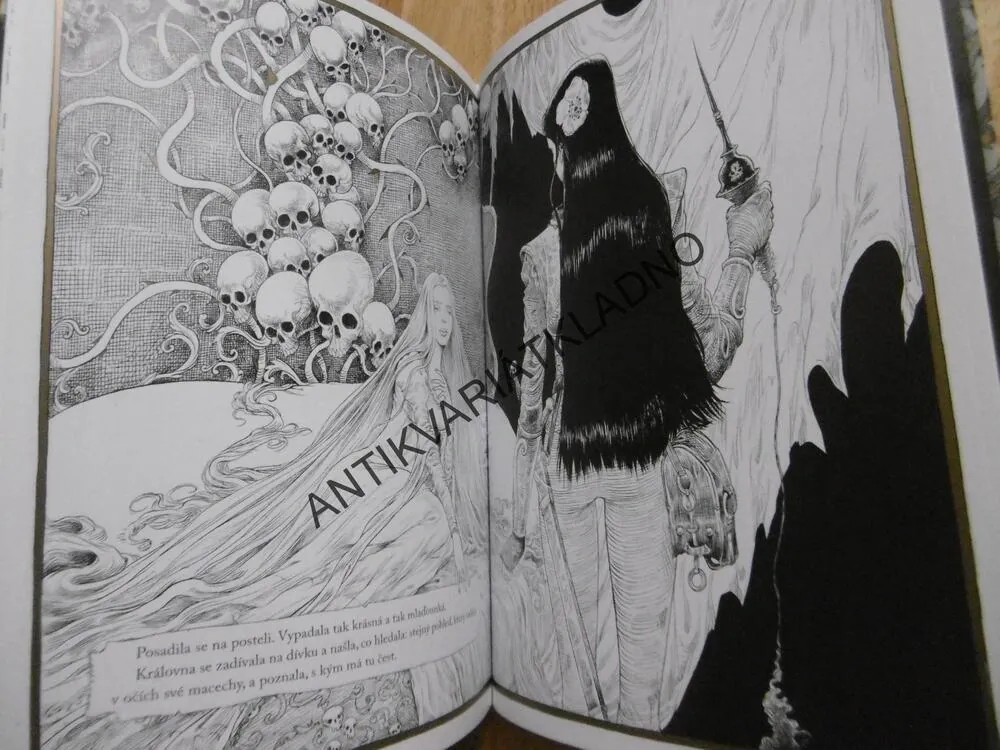 SPÁČKA A VŘETENO, NEIL GAIMAN, KOMIKS, **an