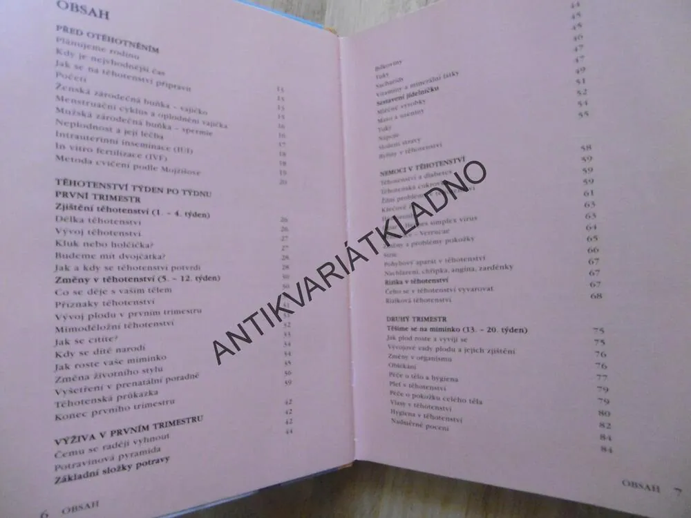 KNIHA O TĚHOTENSTVÍ A PORODU, ROMANA ČERNÁ, **an