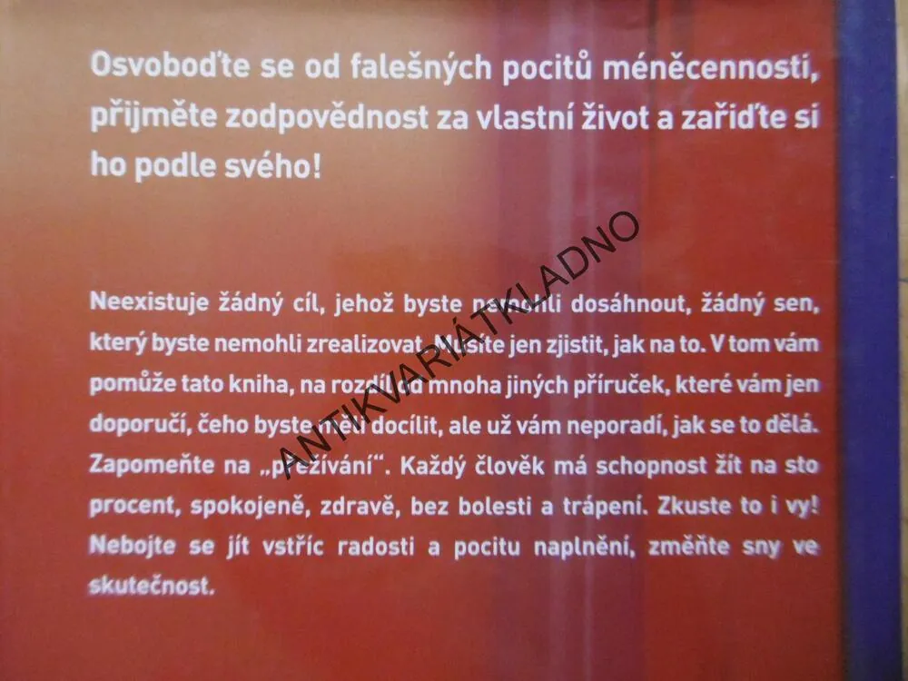 BEZ HRANIC, JAK SI VYBUDOVAT VYJÍMEČNÝ ŽIVOT, JILLIAN MICHAELSOVÁ, **an