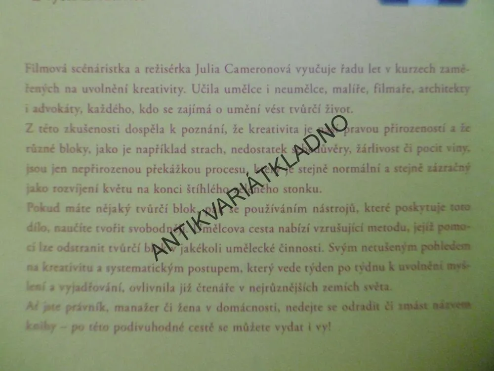UMĚLCOVA CESTA, JULIA CAMERONOVÁ, **an