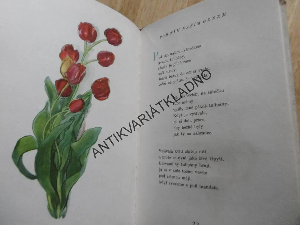 ZPĚV ZEMĚ, MARIE KRATZOCHVÁLOVÁ, VEJRYCHOVÁ, BÁSNIČKY, POEZIE