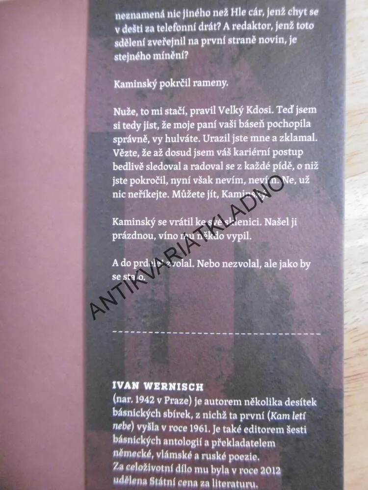 PERNAMBUCO, IVAN WERNISCH, **an