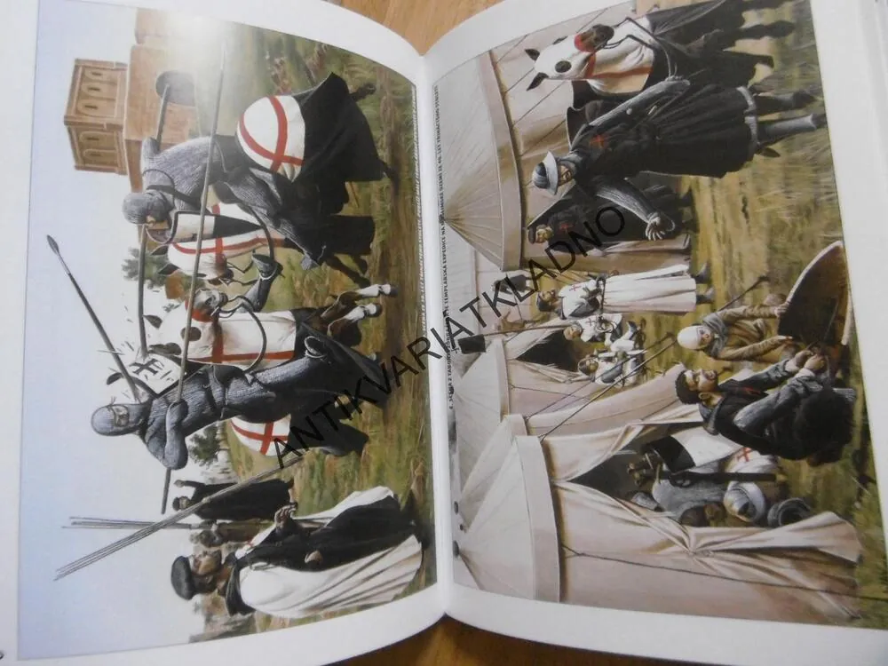 TEMPLÁŘI 1120-1312, NOICHOLSONOVÁ, WAYNE REYNOLDS, **an