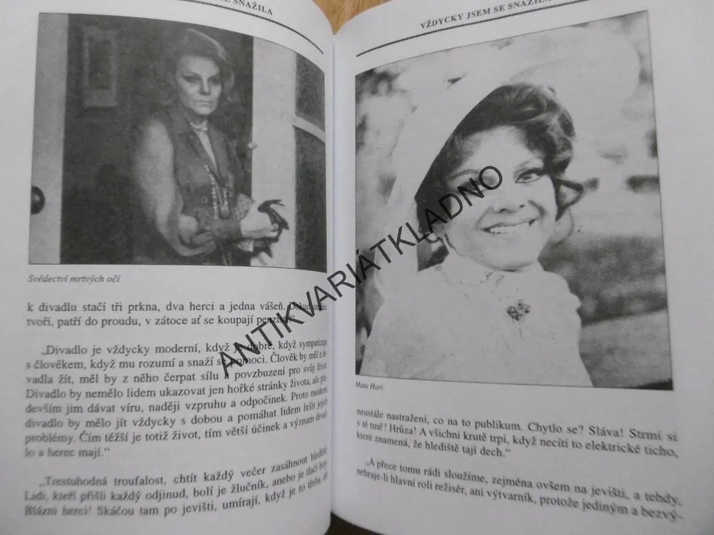 SLÁVKA BUDÍNOVÁ, NIC JSEM NEDOSTALA ZADARMO, IVANA HUTAŘOVÁ, **an