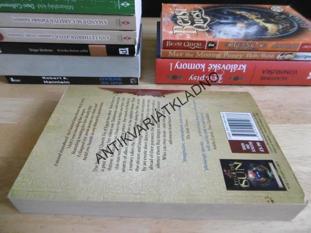 EYE OF THE MOON, DIANNE HOFMEYER, ANGLICKY, **an