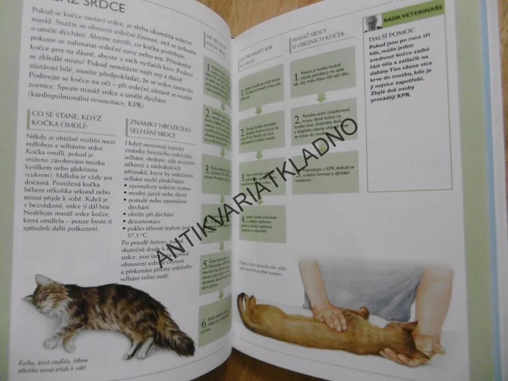 CO JE S MOU KOČKOU? KOČKY, BRUCE FOGLE,  **an