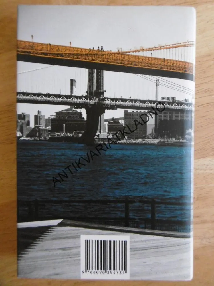 SIROTCI V BROOKLYNU, JONATHAN LETHEM, **an