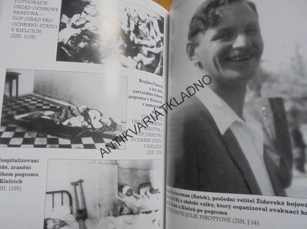STRACH, POVÁLEČNÝ PROTIŽIDOVSKÝ POGROM, GROSS