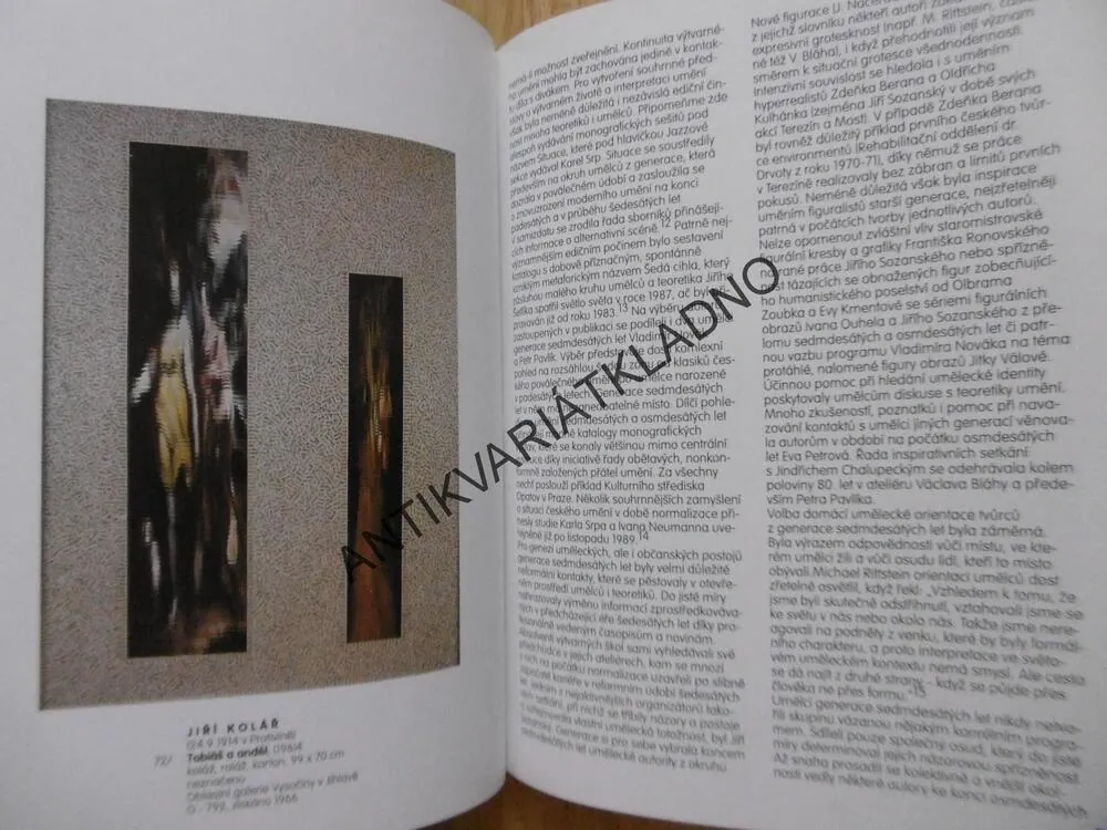 ZÁZNAM NEJROZMANITĚJŠÍCH FAKTORŮ...,ČESKÉ MALÍŘSTVÍ 2.POL. 20. ST. ZE SBÍREK STÁTNÍCH GALERIÍ, **an