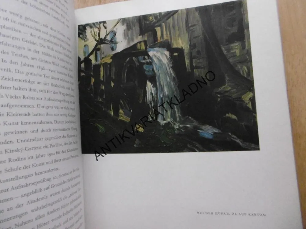VÁCLAV RABAS, MALER DER HEIMISCHEN SCHOLLE, JIŘÍ KOTALÍK, VÝTVARNÉ UMĚNÍ, **an