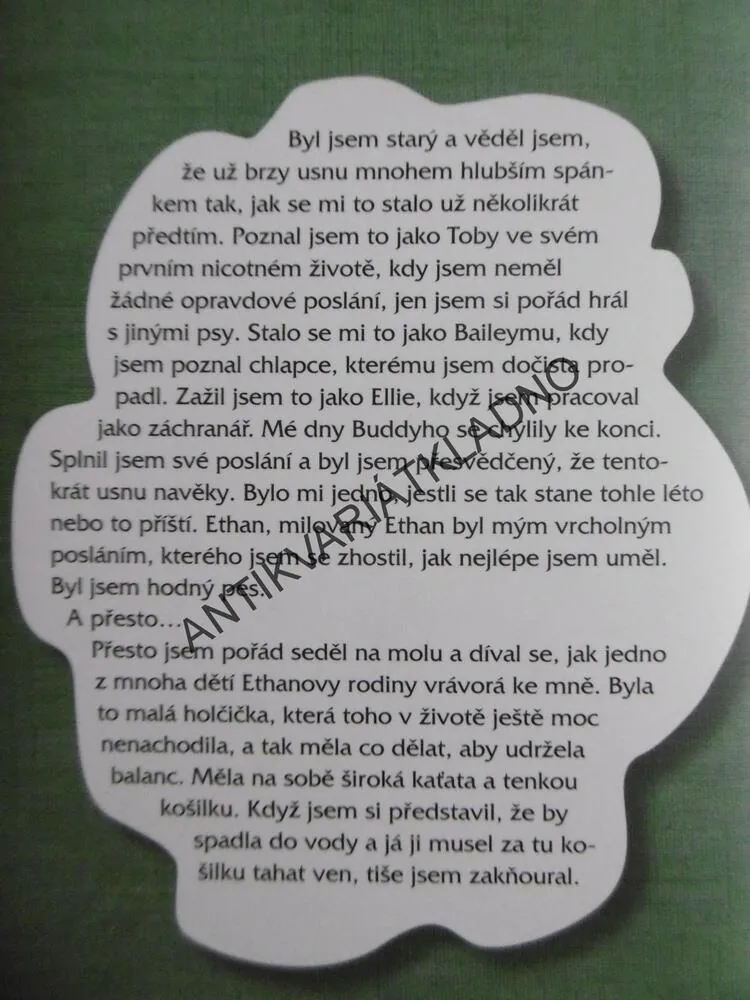 PSÍ CESTA, W. BRUCE CAMERON,  **an
