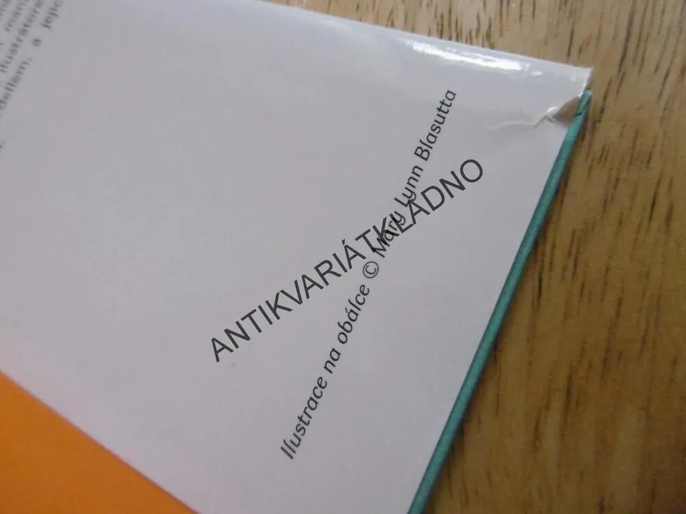 MATEŘSKÁ, ALE URČITĚ NE DOVOLENÁ, JULIE HALPERNOVÁ, **an
