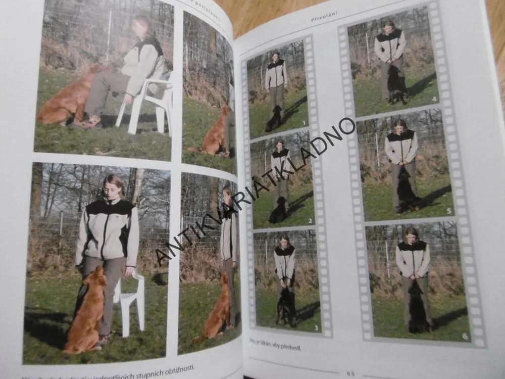 VÝCVIK PSA K DOKONALÉ POSLUŠNOSTI, OBEDIENCE KROK ZA KROKEM,IMKE NIEWÖHNER, **an