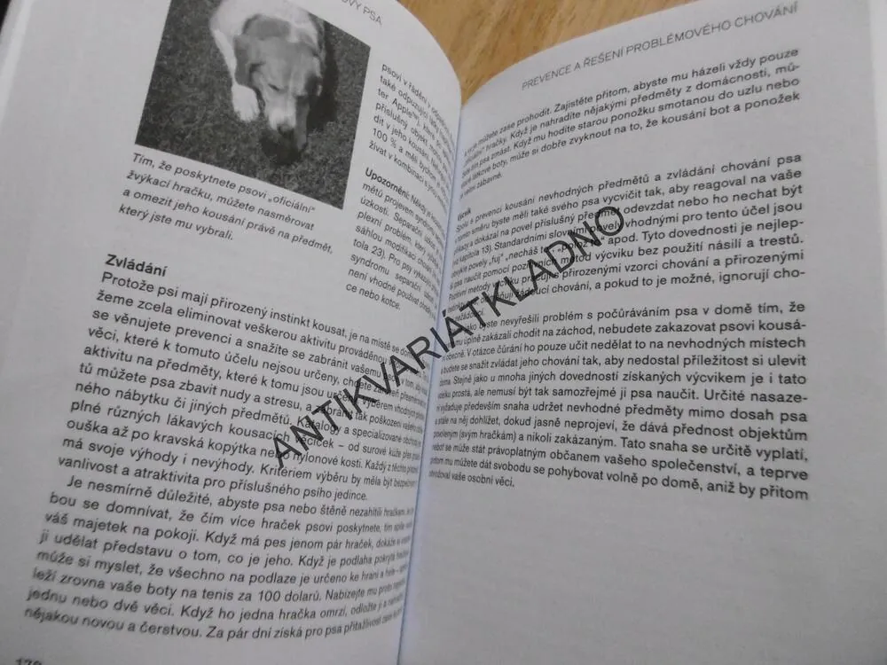 POZITIVNÍ METODY VÝCHOVY PSA, PAT N. MILEROVÁ, PES, VÝCHOVA, PÉČE, **an