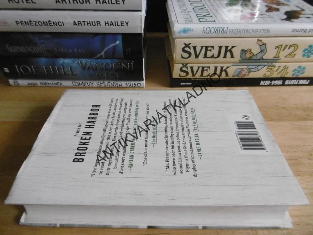 THE SECRET PLACE, TANA FRENCH, ANGLICKY, **an