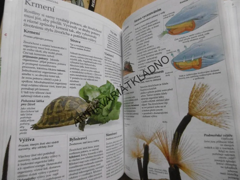 MALÁ ENCKLOPEDIA  PRÍRODY, SLOVENSKY, 2000 KLÍČOVÝCH SLOV, DAVID BURNIE, **an