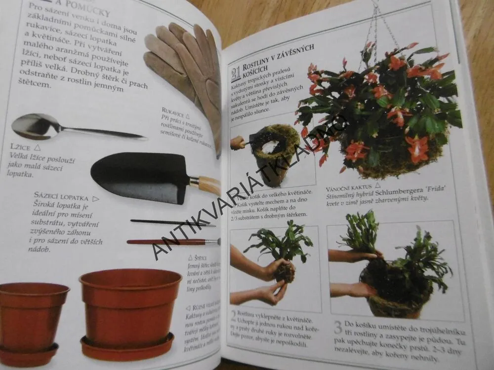 KAKTUSY A SUKULENTY, 101 PRAKTICKÝCH RAD, **an