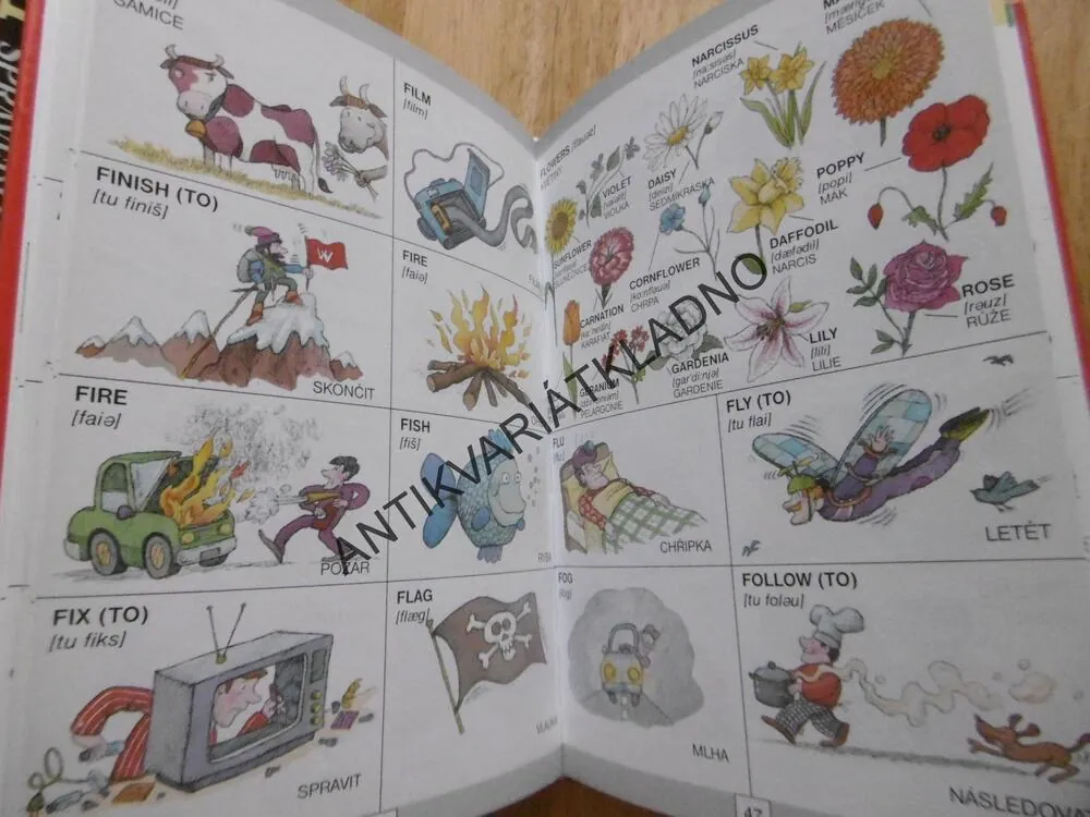 VÍC NEŽ 1000 ANGLICKÝCH SLOVÍČEK, JOSEPH R. ORWELL, ANGLICKY- ČESKY, **an