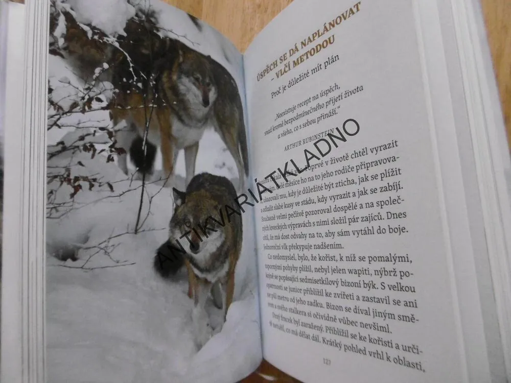 MOUDROST VLKŮ, ELLI H. RADINGEROVÁ, **an