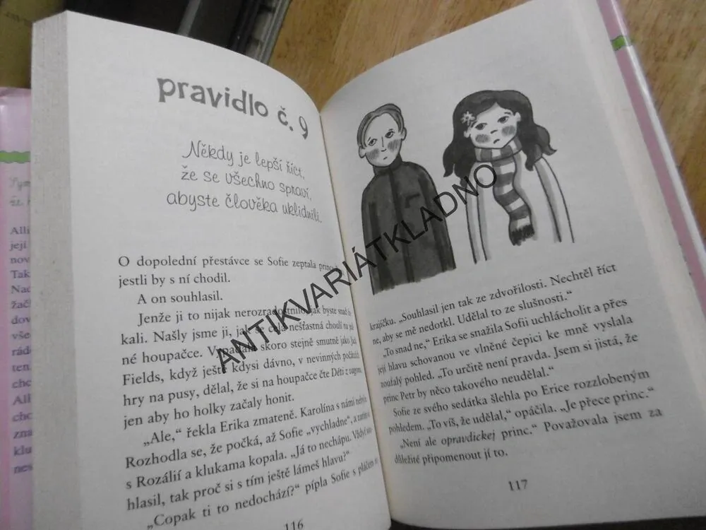 ALLIE FINKLOVÁ, HOLČIČÍ PRAVIDLA, MEG CABOTOVÁ, **an