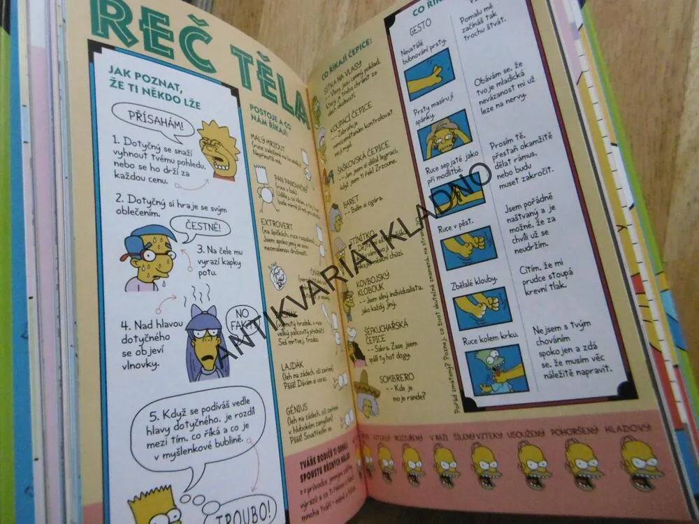 PRŮVODCE ŽIVOTEM, SIMPSONOVI, BART SIMPSON, **an