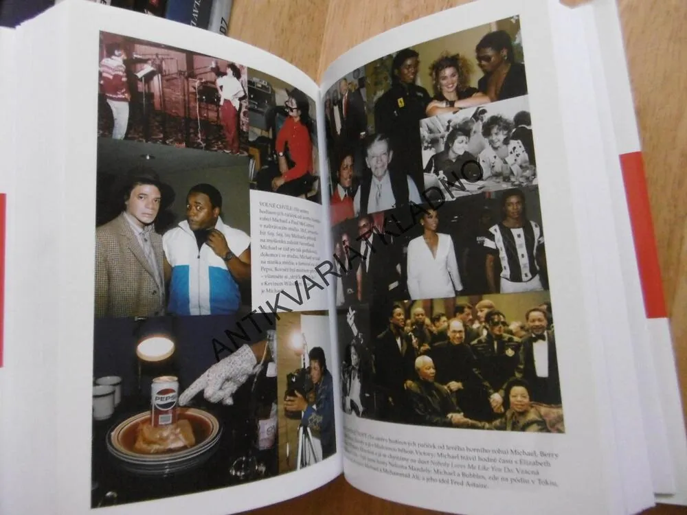 NEJSI SÁM MICHAEL JACKSON OČIMA SVÉHO BRATRA JERMAINE JACKSON, **an