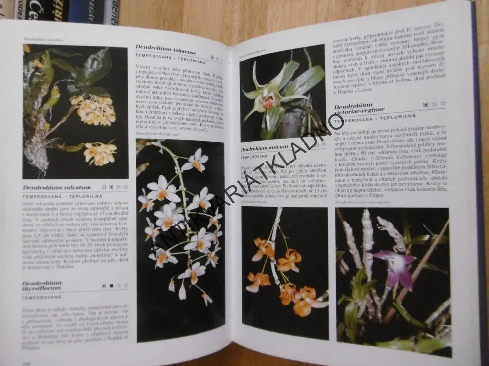 ENCYKLOPEDIE ORCHIDEJÍ, ZDENĚK JEŽEK, **an