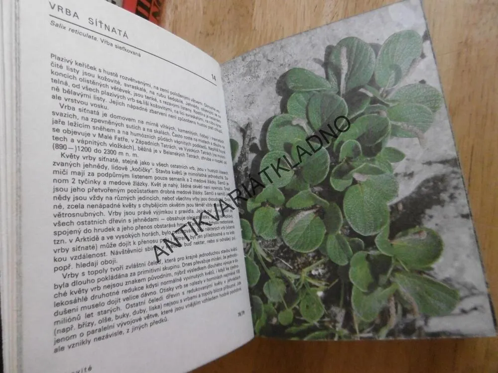 KAPESNÍ ATLAS - ROSTLINY NAŠICH HOR, JIŘÍ SOJÁK, **an