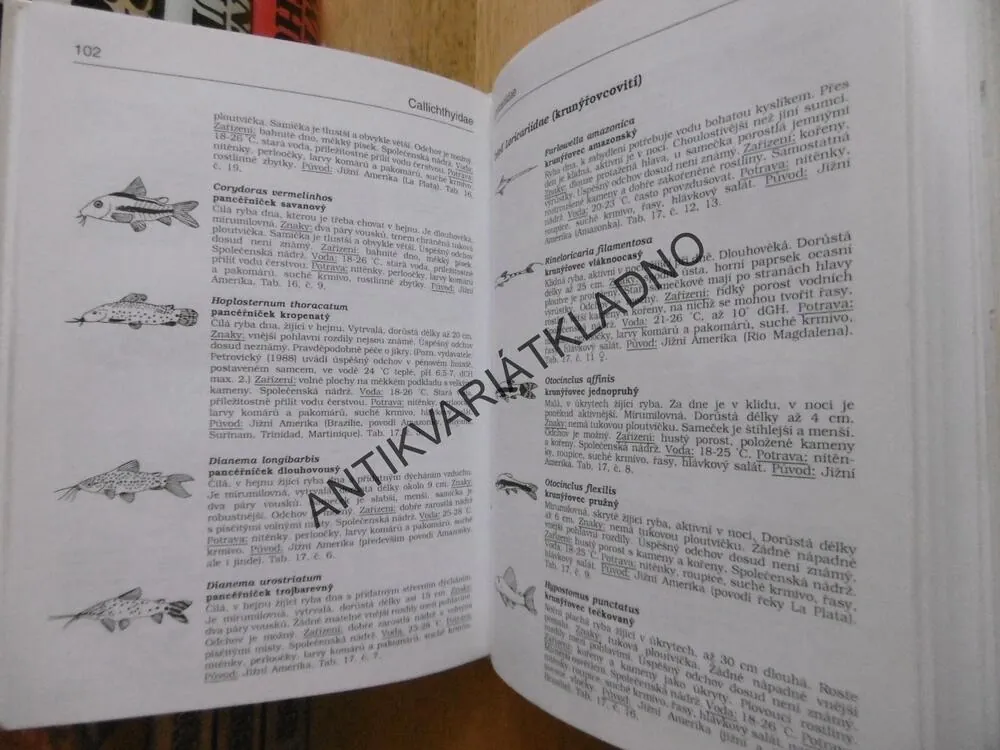AKVARIJNÍ RYBY, KLAUS PAYSAN, 500 DRUHŮ, **an