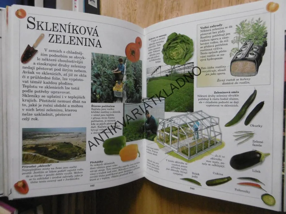 VELKÁ DĚTSKÁ ENCYKLOPEDIE, **an