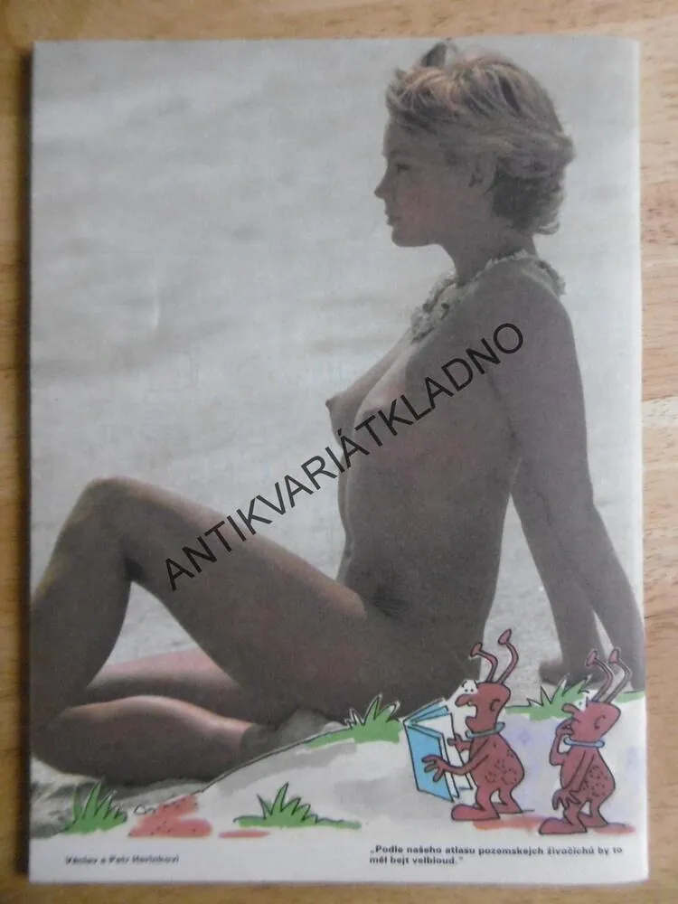 MAGAZÍN DIKOBRAZU, 3/90