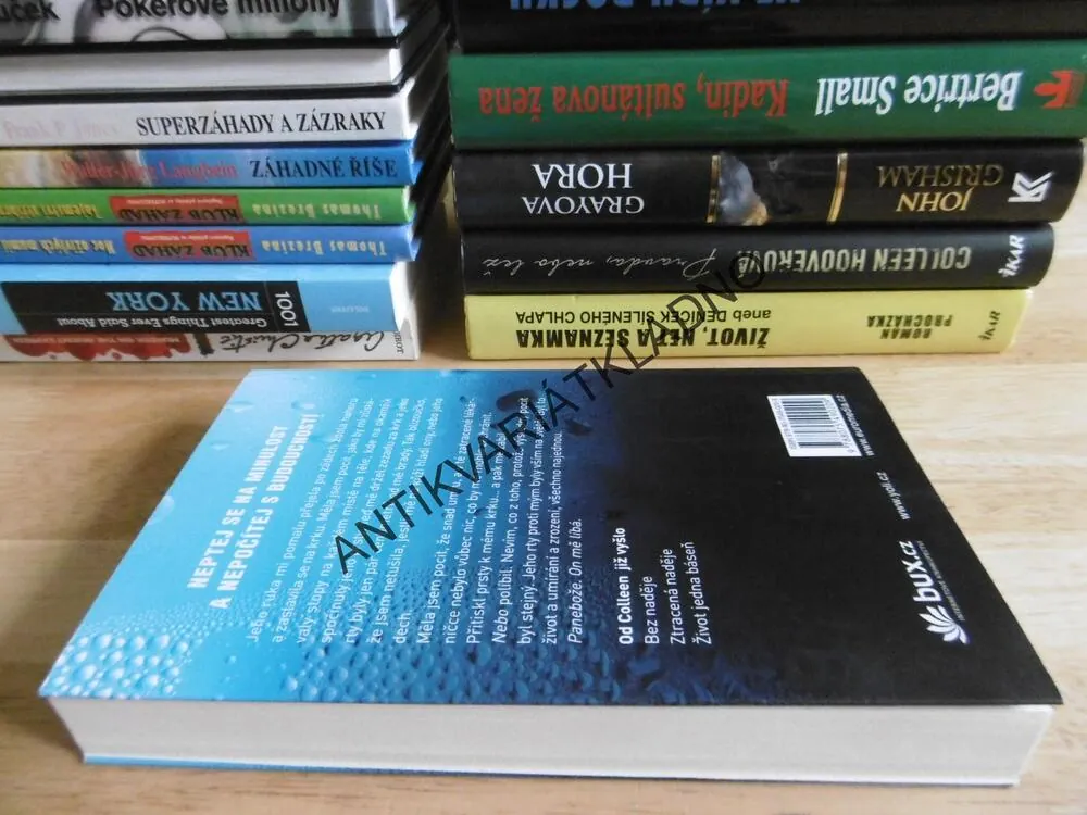 ODVRÁCENÁ TVÁŘ LÁSKY, COLLEEN HOOVEROVÁ, **an