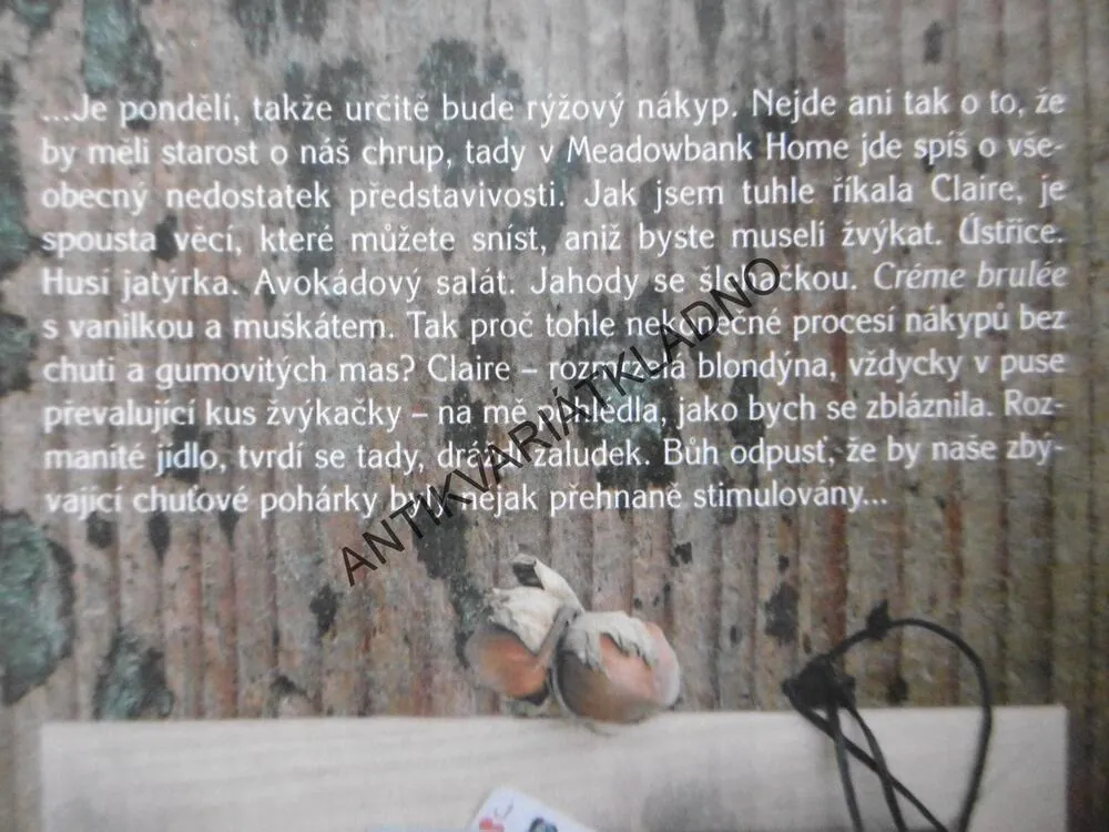 JINÉ SVĚTY, JINÍ LIDÉ, JOANNE HARRISOVÁ, **an
