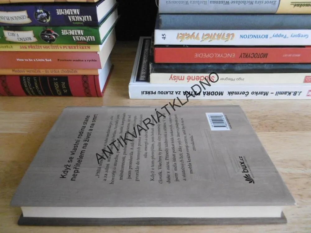 BYLA JSEM SVĚDKYNÍ VRAŽDY ZE CTI, NOURIG APFELDOVÁ, **an