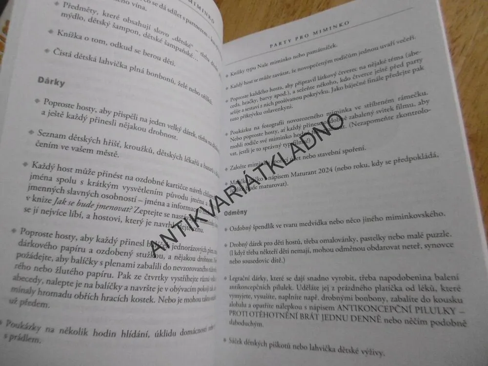 1001 NÁPADŮ NA SKVĚLOU PARTY, PENNY WARNER, **an