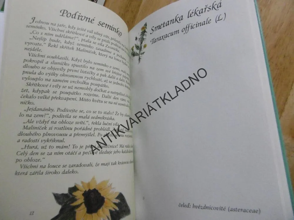 MŮJ POHÁDKOVÝ HERBÁŘ, LUČNÍ ROSTLINY, IVA HOŇKOVÁ, **an