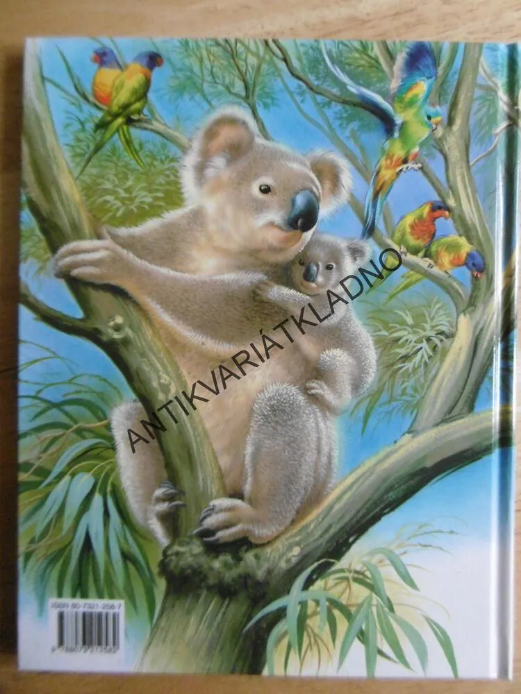 ZVÍŘÁTKA ŽIJÍ VŠUDE, **an