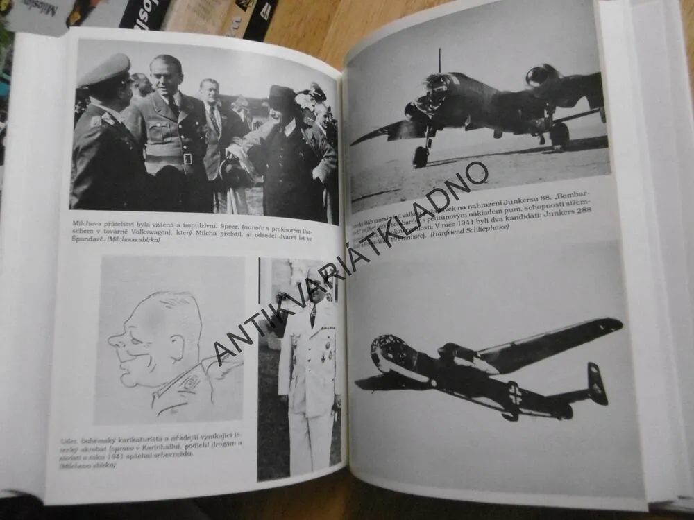 LUFTWAFFE VZESTUP A PÁD, DAVID IRVING, **an