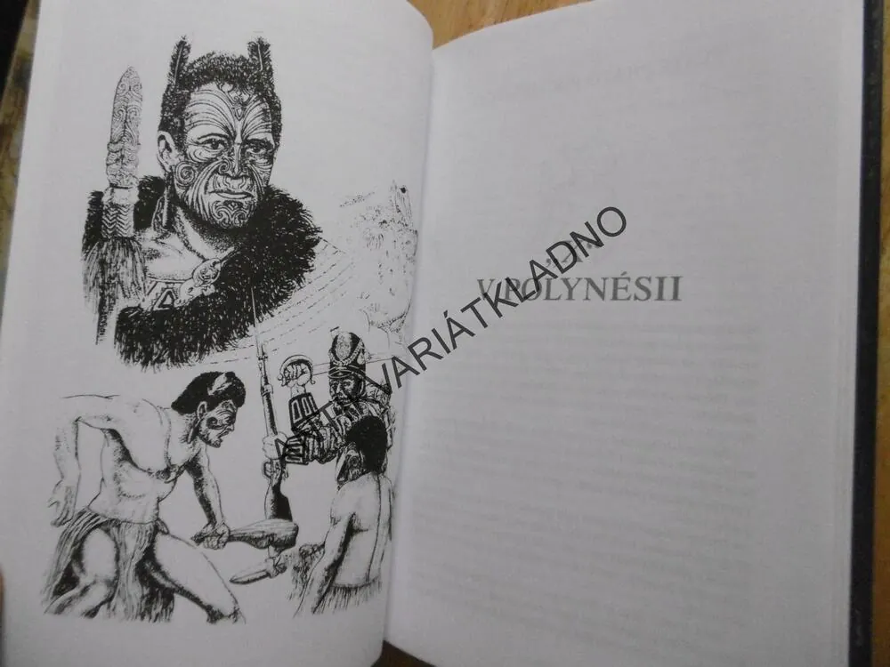 VLÁDCOVÉ RÁJE, MILOSLAV STINGL, **an