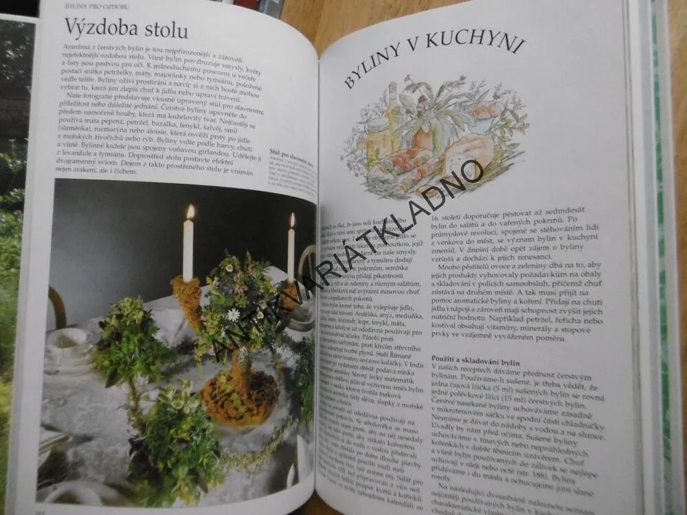 BYLINÁŘ, ZDRAVÍ, KRÁSA, RADOST, LESLEY BREMNESSOVÁ, **an