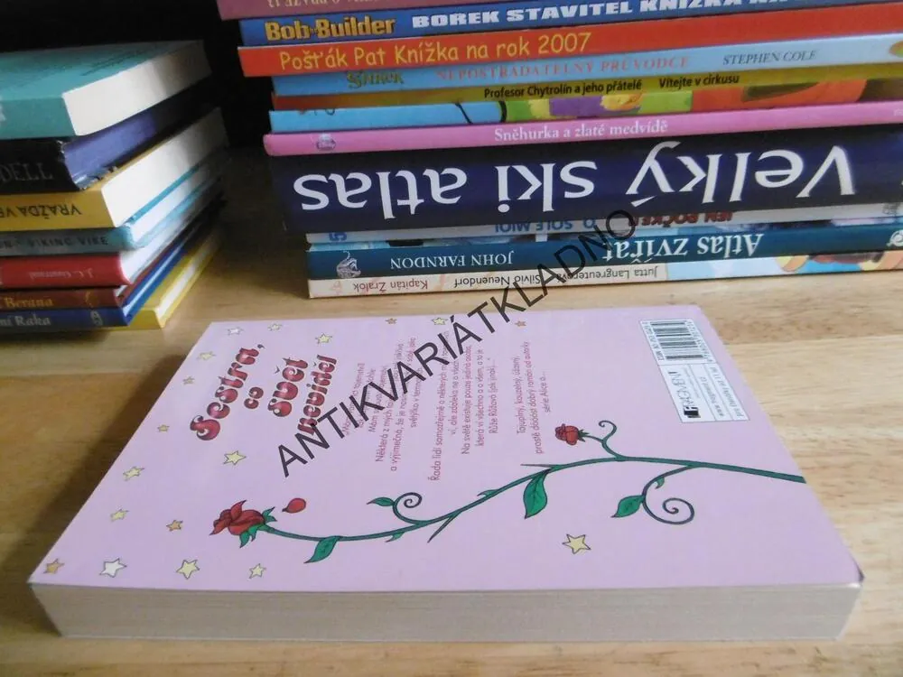 SESTRA, CO SVĚT NEVIDĚL, KAREN MCCOMBIE, **an