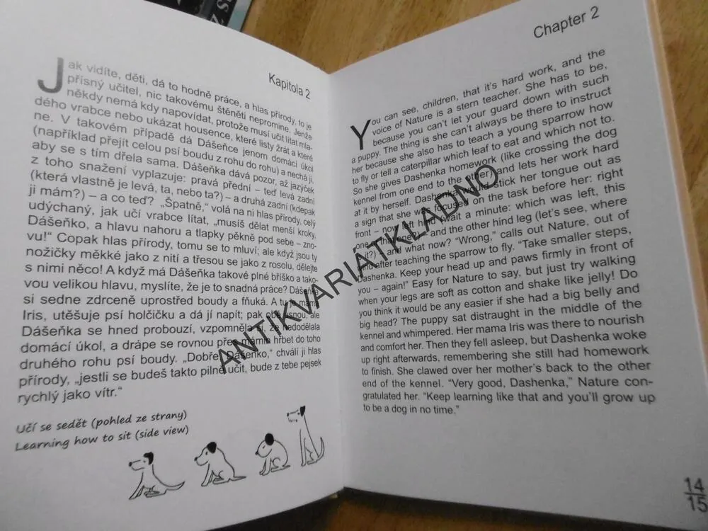 DÁŠENKA ČILI ŽIVOT ŠTĚNĚTE, KAREL ČAPEK, VÝUKA ANGLIČTINY, BEZ CD, **an