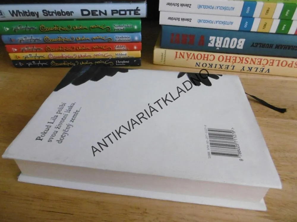 OSUDNÝ POLIBEK, MAGGIE STIEFVATEROVÁ, **an