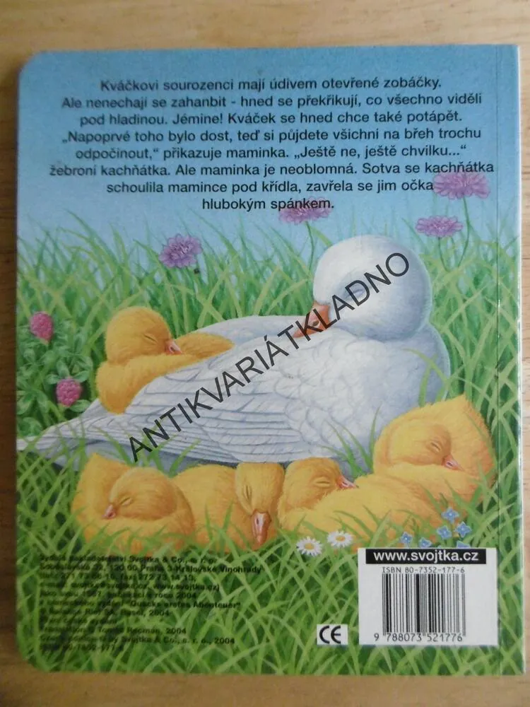 KVÁČKOVO PRVNÍ DOBRODRUŽSTVÍ, **an