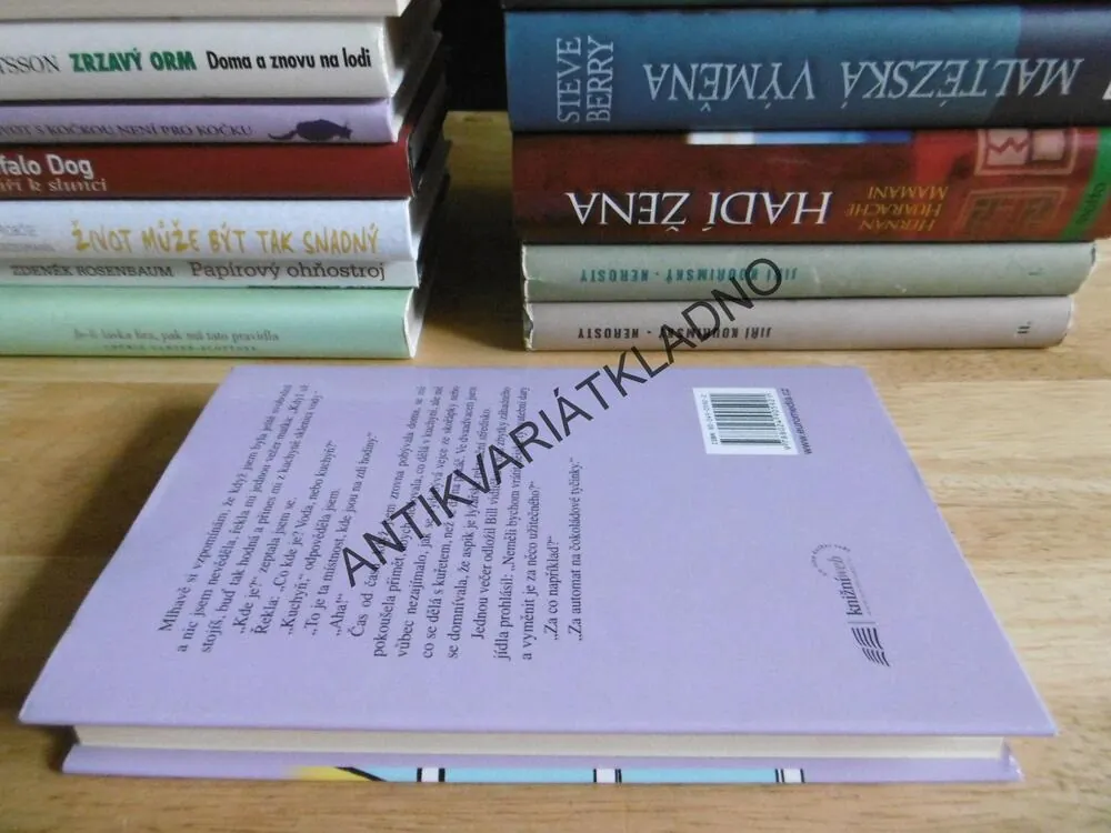 SVÁTOST MANŽELSTVÍ, ERMA BOMBECKOVÁ, **an