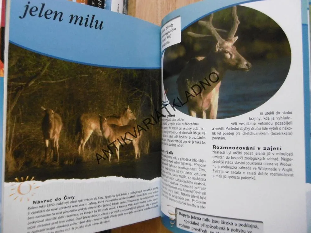 OHROŽENÁ ZVÍŘATA, OBYVATELÉ MOŘÍ A OCEÁNŮ, TROPCKÝCH LESŮ, HIOR, SAVAN A STEPÍ, POUŠTÍ A POLÁRNÍCH OBLASTI, **an