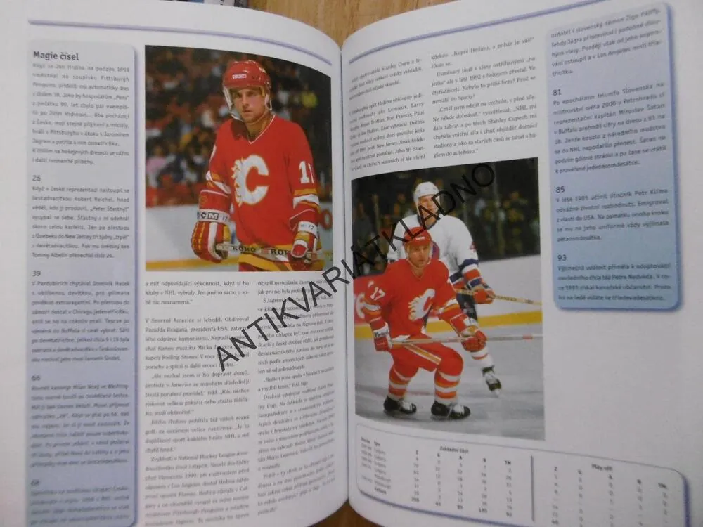 ČEŠI A SLOVÁCI V DĚJINÁCH NHL, KAREL KNAP, LEDNÍ HOKEJ, **an