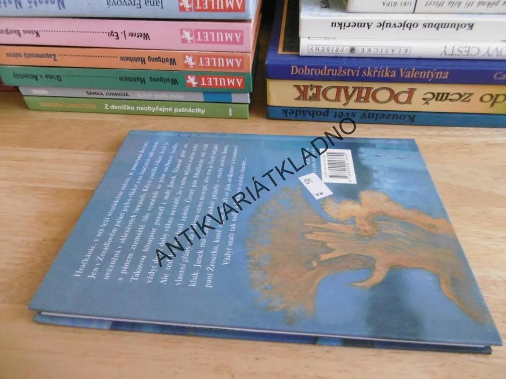 STRAŠIDELNÉ MĚSTO, ZUZANA HOLASOVÁ, **an