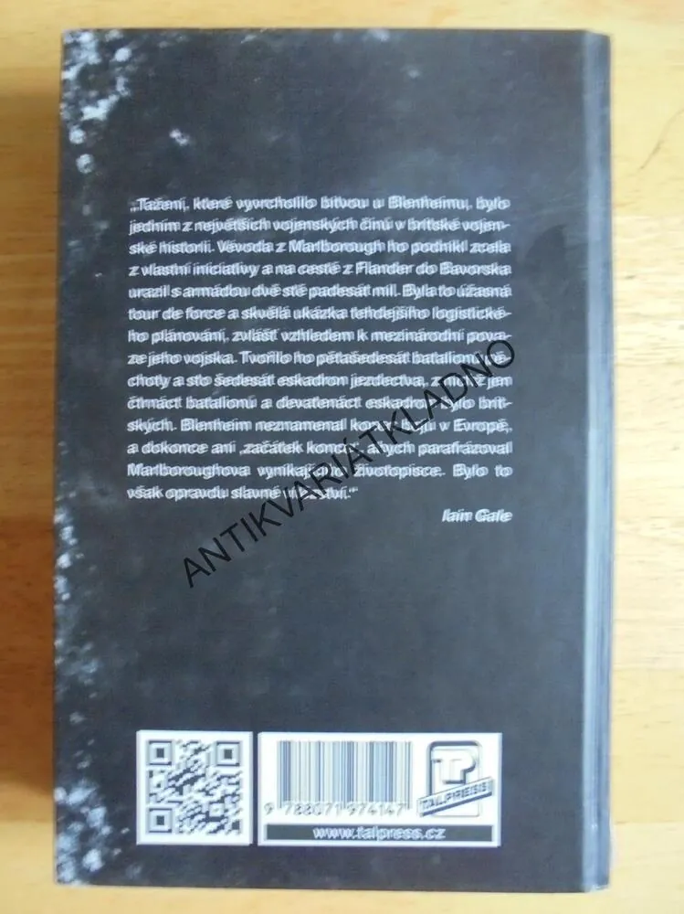 MUŽ CTI, JACK STEEL:ZA KRÁLOVNU A VLAST,IAIN GALE