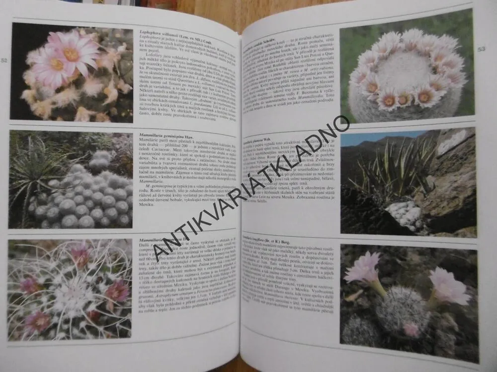 VŠECHNO O KAKTUSECH, KAKTUSY, ALEXANDER LUX, ROMAN STANÍK, **an